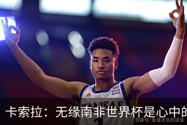 卡索拉：无缘南非世界杯是心中的刺